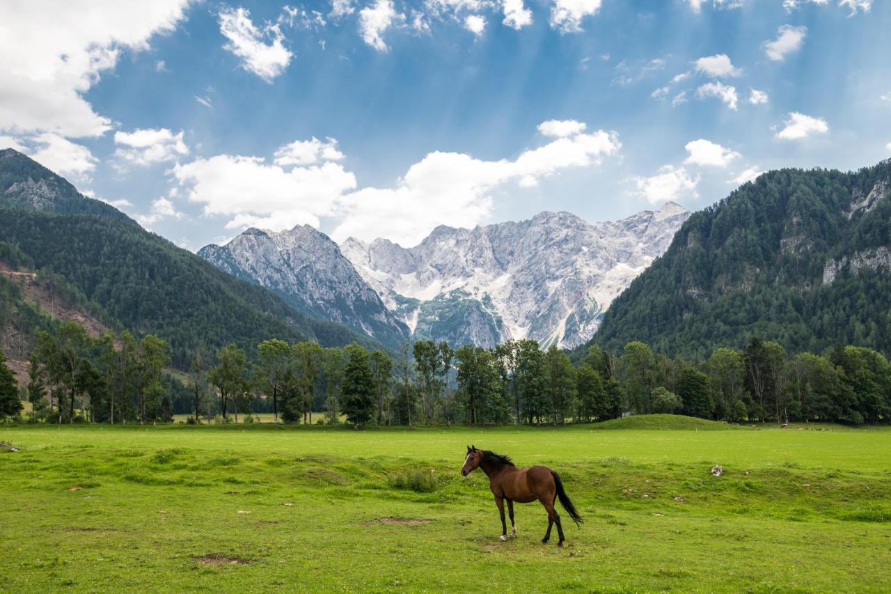 Boutique Hotel Vila Planinka Zgornje Jezersko Eksteriør billede