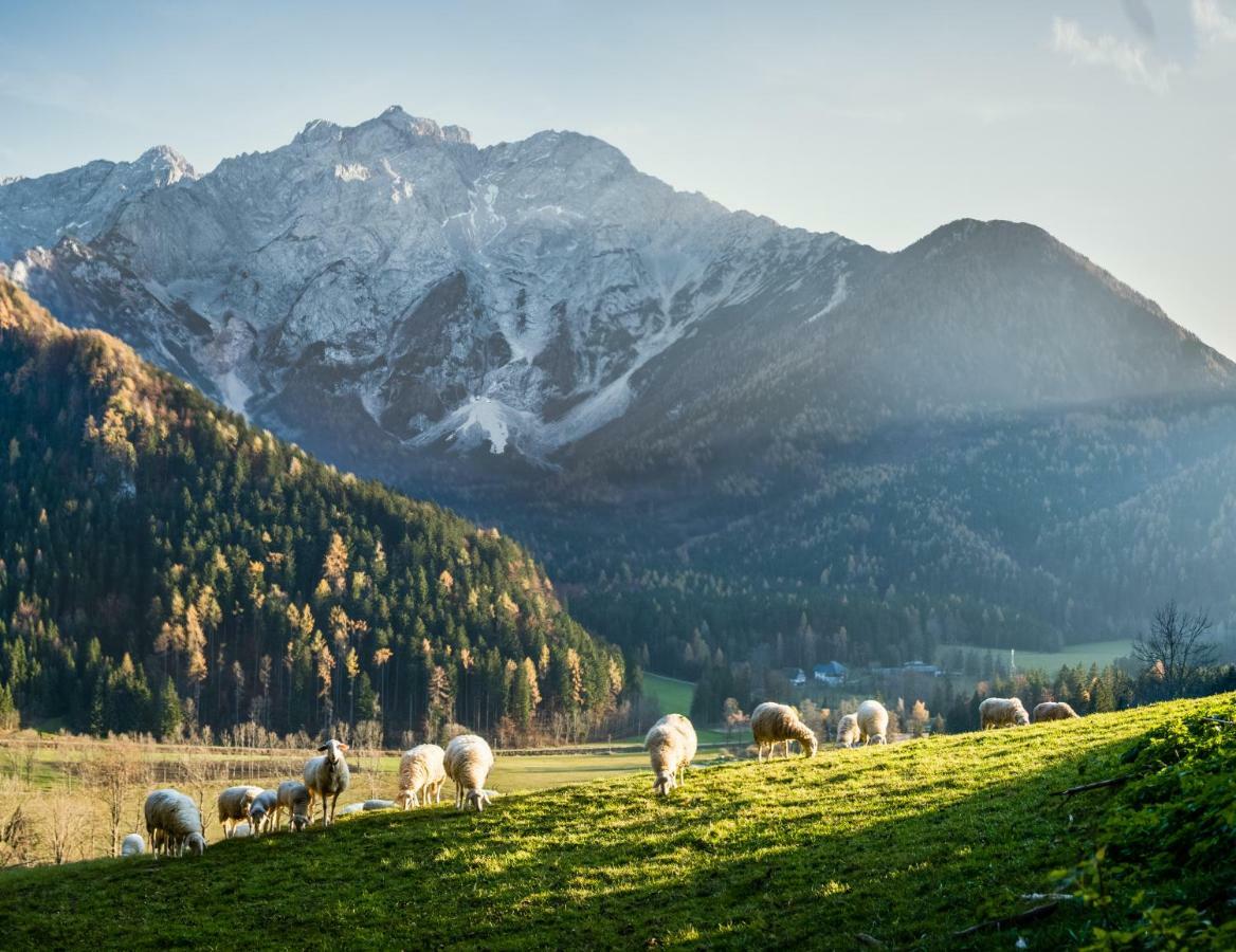 Boutique Hotel Vila Planinka Zgornje Jezersko Eksteriør billede