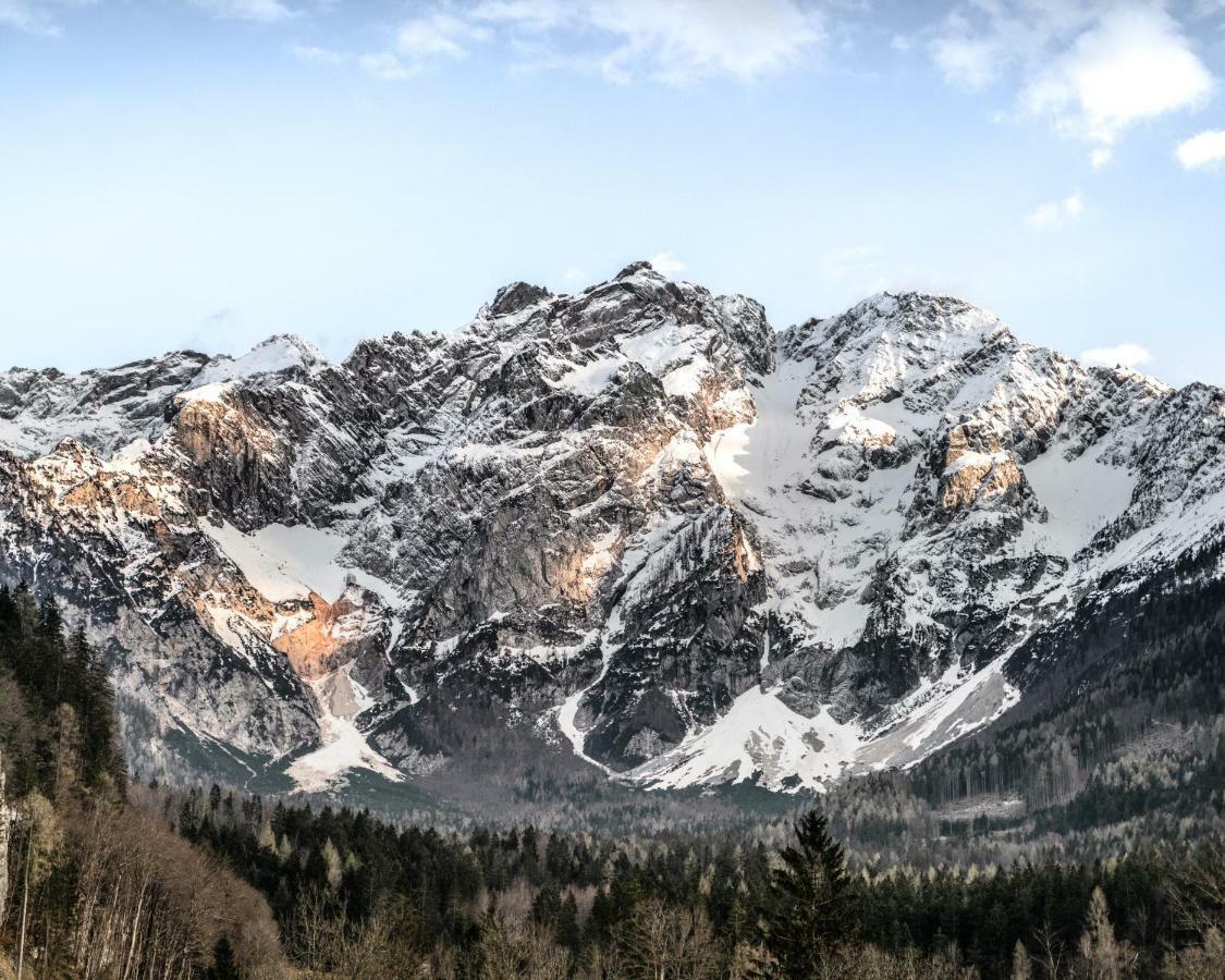 Boutique Hotel Vila Planinka Zgornje Jezersko Eksteriør billede